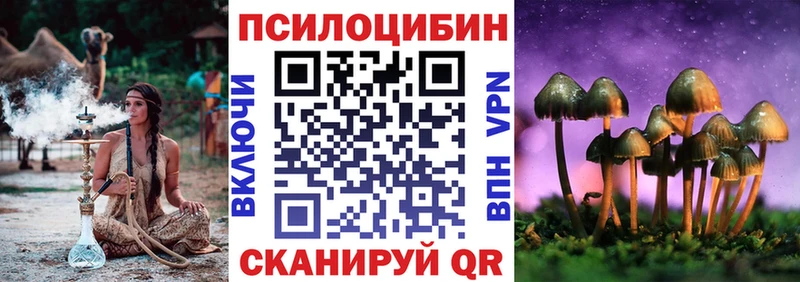 где можно купить наркотик Волгореченск Галлюциногенные грибы Psilocybine cubensis